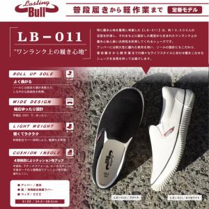 スリッポン 幅広 3E キャンバス 軽量 メン...の詳細画像1