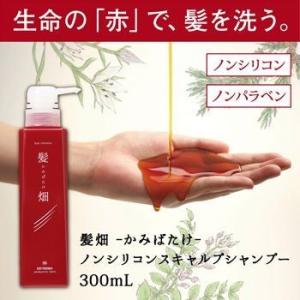 wamiles（ワミレス） ベレッサ トリートメント エアリーモイスト 500ml