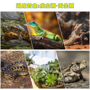 [11-13日限定9倍P付] 爬虫類 ライト ...の詳細画像4