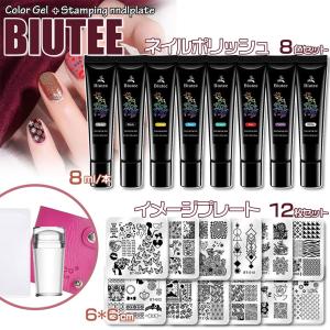 [28-29日限定10倍P付] ネイルイメージプレートセット