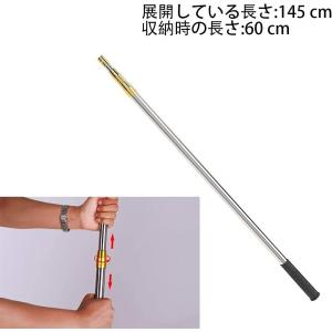 水中銃 Salvimar サルビマー WILD PRO スピアガン ゴム 射程距離