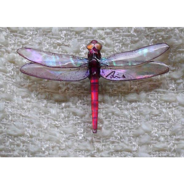 螺鈿あわび貝アクセサリーブローチ　赤トンボM