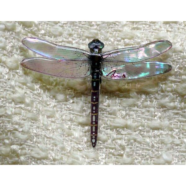 螺鈿あわび貝アクセサリーブローチ　オニヤンマM