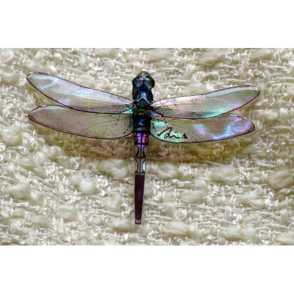 螺鈿あわび貝アクセサリーブローチ　シオカラトンボM