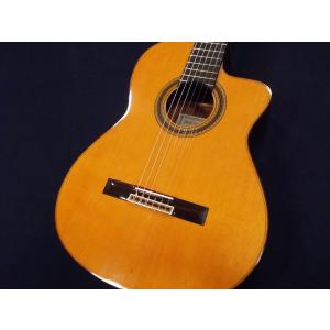 並行輸入品】ToneRite トーンライト 3G ギター用 楽器熟成器 TR