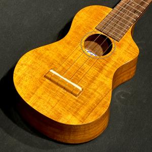 YAMAHA（ヤマハ） チェロ VC7SG 4/4 （ソフトケース・弓・松脂付