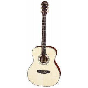 ARIA AD-211 N トップ単板 アコースティックギター/ケース付 : さくら