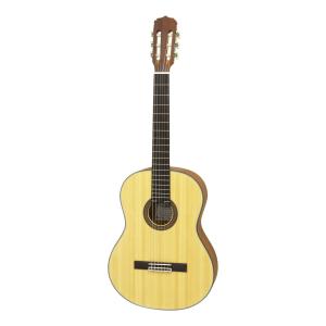 Aria A-10 スプルーストップ クラシックギター ARIA（楽器） ARIA アリア クラシックギター A-10 ソフトケース