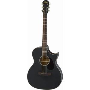 ARIA Aria-101CE/MTBK (Black) マット塗装 エレアコ / ソフトケース付