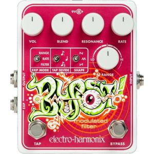ELECTRO HARMONIX Grand Canyon Delay ＆ Looper マルチファンクション