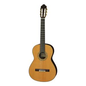ESTEVE SENORITA Cdr セダー単板トップ スペイン製 クラシックギターの商品画像