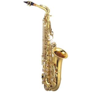 J.Michael アルトサックス　AL-500 & 入門セット Amazon | J.Michael AL-500 アルトサックス 初心者 入門 12点