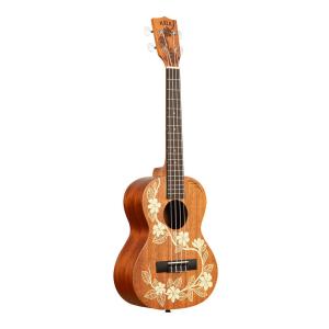 KALA KALA UBASS-SB-BK-FS Jet Black ソリッドボディ U-BASS
