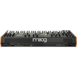moog Muse 8ボイス アナログ バイテ...の詳細画像4