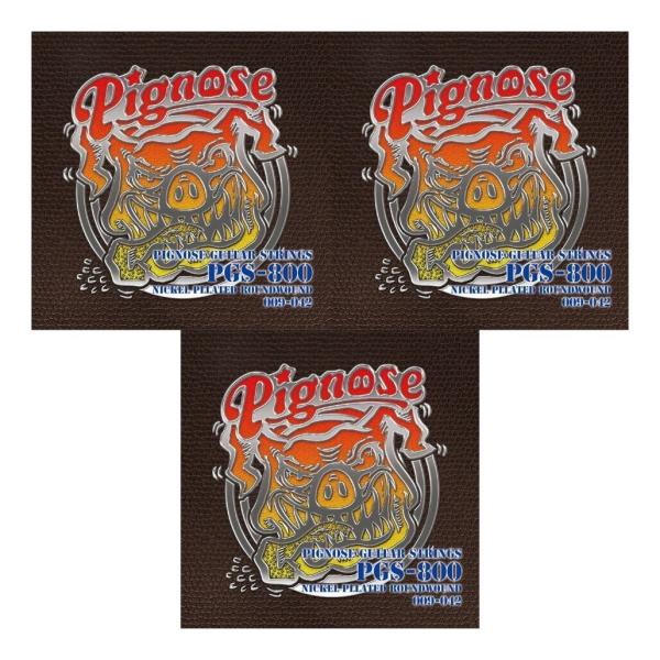 [ピグノーズ専用弦×3セット]Pignose PGS-800×3 [09-42] ピグノーズギター専...