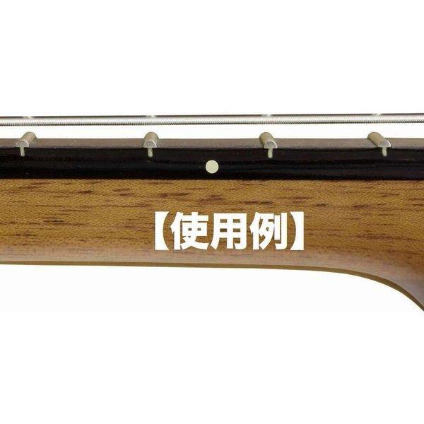 Rosette SI002 Premium Fret Marker Dots 乾転写式 サイドポジシ...