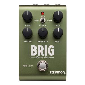 Strymon TimeLine+MultiSwitch ストライモン ディレイ : 愛曲