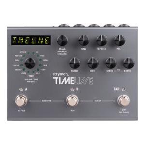 strymon El Capistan V2 テープエコー ストライモン : THEONE