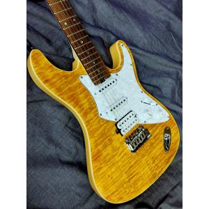 Aria ProII 714-AE200 YG エレキギター ギグバッグ付 アリア プロ２の商品画像