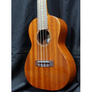 YAMAHA（ヤマハ） YAMAHA/エレアコ LS-TA BS トランスアコースティック