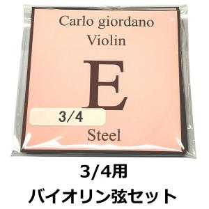 カルロジョルダーノ VNS-260 4/4 バイオリン弦セット ヴァイオリン弦