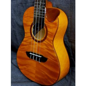 Gibson（ギブソン） (WEBSHOPクリアランスセール)Gibson / 490R