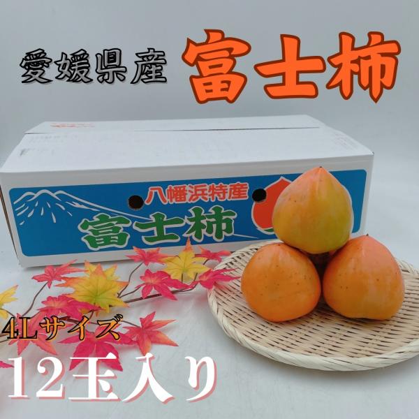 富士柿　愛媛県産（JAにしうわ）　4Lサイズ　12玉入り