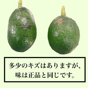 アボカド 愛媛県松山市産 約1kg(4〜6個) 国産の詳細画像4