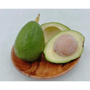 アボカド 愛媛県松山市産 約1kg(4〜6個) 国産の詳細画像2