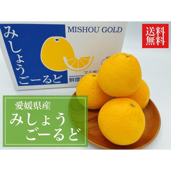 みしょうごーるど　愛媛県産　秀品　18玉入り