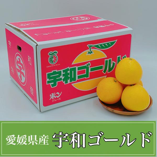宇和ゴールド　愛媛県産（JAえひめ南）　秀品　約7.5kg　河内晩柑　柑橘