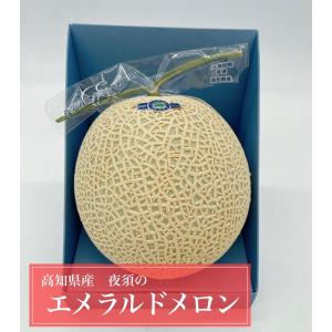 夜須のエメラルドメロン　高知県産　化粧箱　メロン　1玉入り