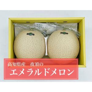 夜須のエメラルドメロン　高知県産　化粧箱　メロン　2玉入り　｜ailand-fruit