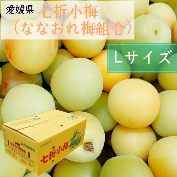 七折小梅（JAえひめ中央）　愛媛県産　Ｌサイズ　約10kg　ななおれ梅組合　小梅　梅　砥部町