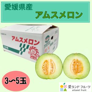 アムスメロン(JA周桑)　メロン　愛媛県産　３〜５玉入り｜ailand-fruit