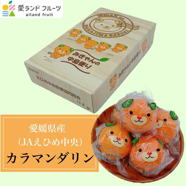 カラマンダリン　みかん　愛媛県産(JAえひめ中央)　中島便り　みきゃん包装　12〜15個入り　冷蔵便