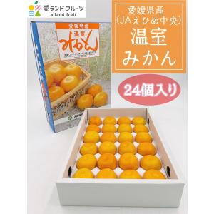 ハウスみかん　愛媛県産　JAえひめ中央　赤秀　2Sサイズ　24個　化粧箱　みかん　柑橘