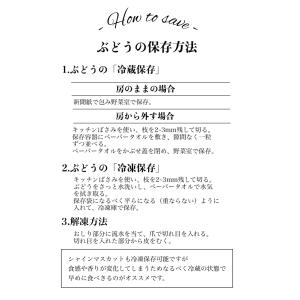 三次ピオーネ 広島県産 約2kg(4~5房入り...の詳細画像2