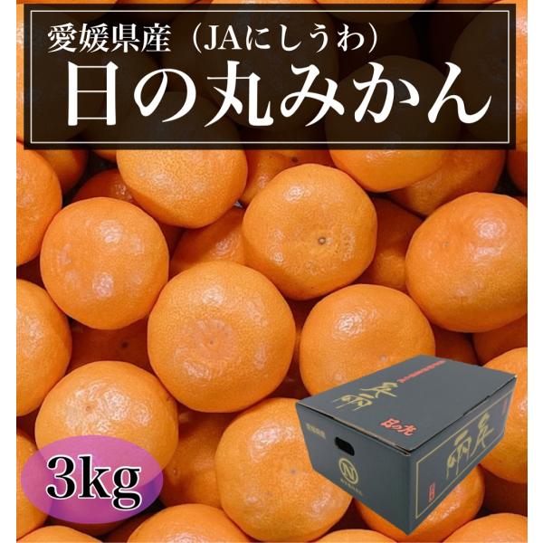 日の丸みかん　愛媛県産（JAにしうわ）　緑〇　MまたはLサイズ　3kg