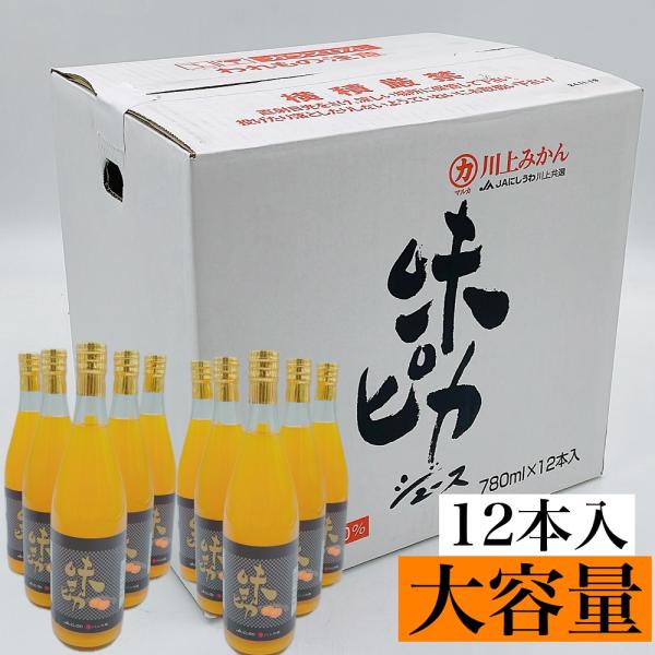 大容量　味ピカジュース　愛媛県産　温州みかん　果汁100％　780ml　12本入り　みかん　柑橘