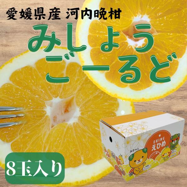 みしょうごーるど　愛媛県産　秀品　8玉入り  みきゃん箱　少量　小箱 河内晩柑