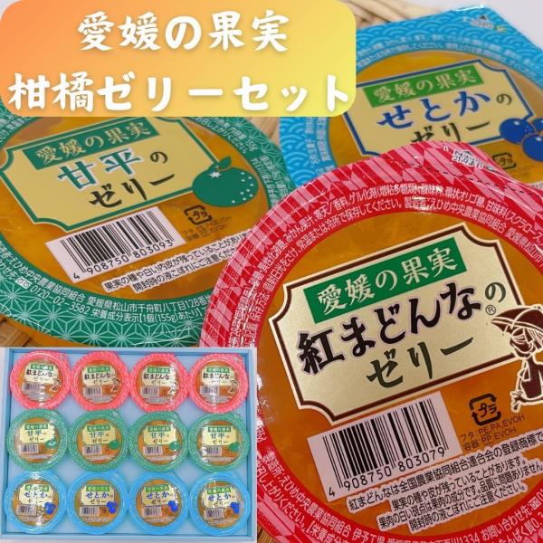 愛媛の果実柑橘ゼリーセット　12個入り　お礼　御祝　ほんの気持　お供え　お彼岸