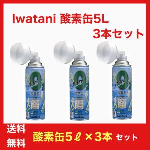 イワタニ ピュア酸素缶 5.1リットル NRS-1　3本セット