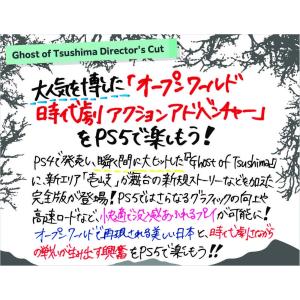 PS5 ゴーストオブツシマ Ghost of ...の詳細画像2