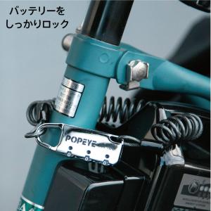 電動自転車 盗難防止 バッテリー ロック ダイ...の詳細画像3