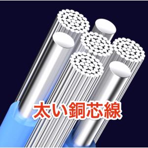 TYPE C ケーブル 2m タイプC USB...の詳細画像4