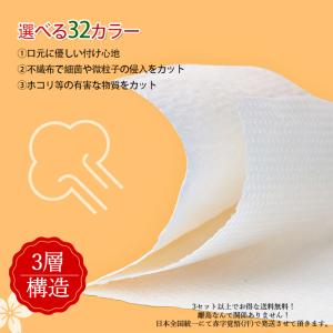 マスク 不織布 カラーマスク 血色マスク 不織...の詳細画像1