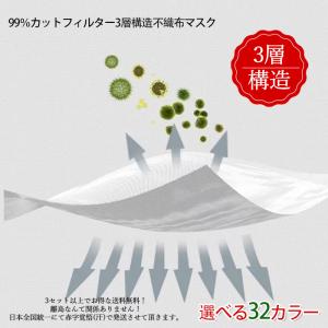 マスク 不織布 カラーマスク 血色マスク 不織...の詳細画像2