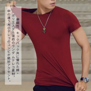 Tシャツ メンズ 半袖 カラーシャツ インナー...の詳細画像5