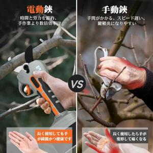 電動バサミ 業界初の5cm電動剪定ばさみ 強い...の詳細画像5